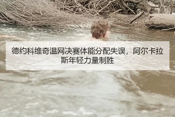 de-yue-ke-wei-qi-wen-wang-jue-sai-ti-neng-fen-pei-shi-wu-a-er-ka-la-si-nian-qing-li-liang-zhi-sheng-2-565.jpg