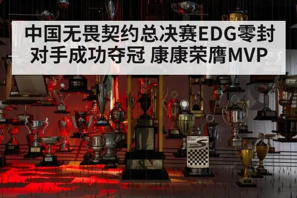 中国无畏契约总决赛EDG零封对手成功夺冠 康康荣膺MVP